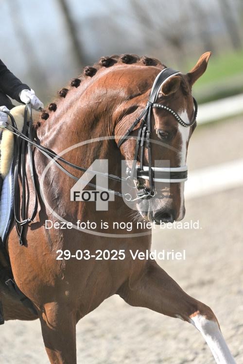 250329 0950