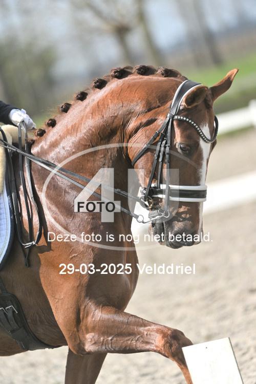 250329 0951