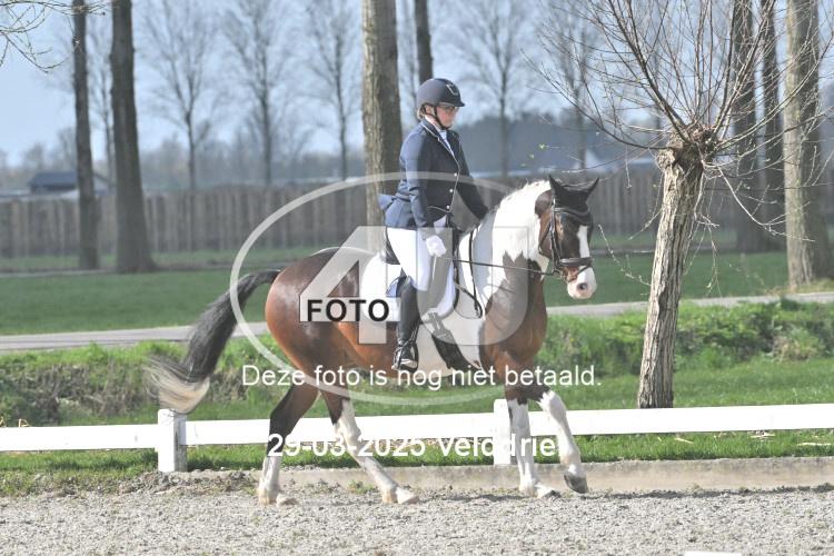 250329 1036