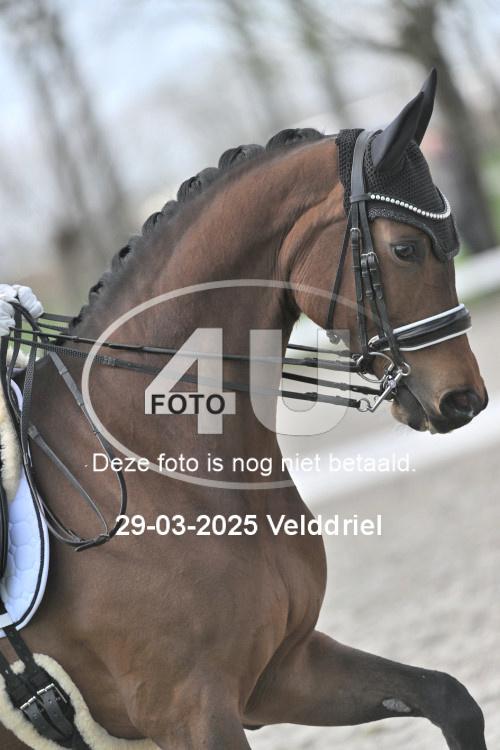 250329 1106