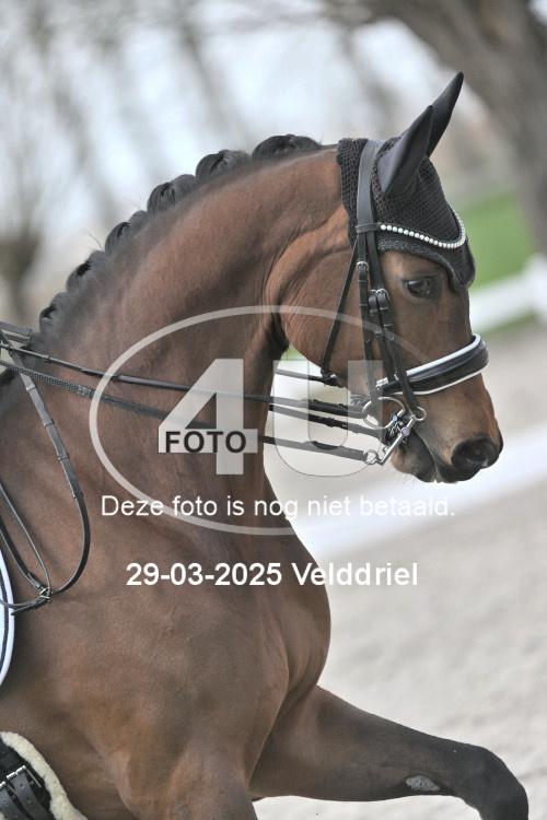 250329 1107