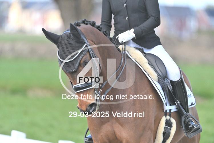 250329 1119