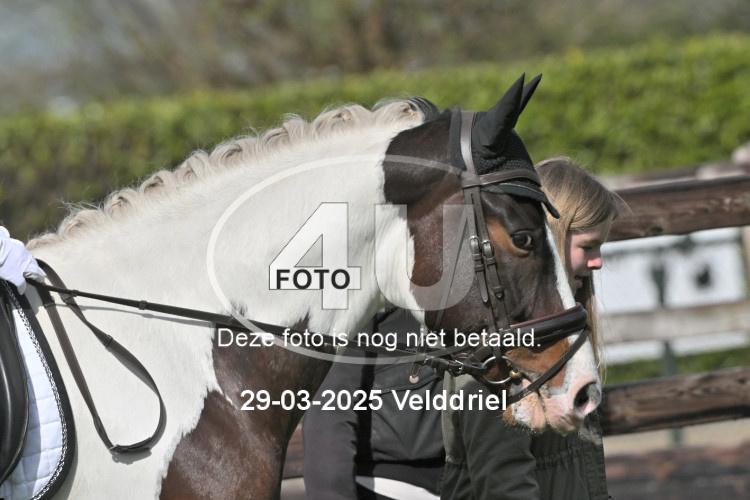250329 1199