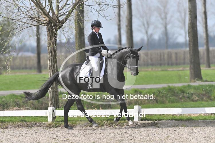 250329 1234