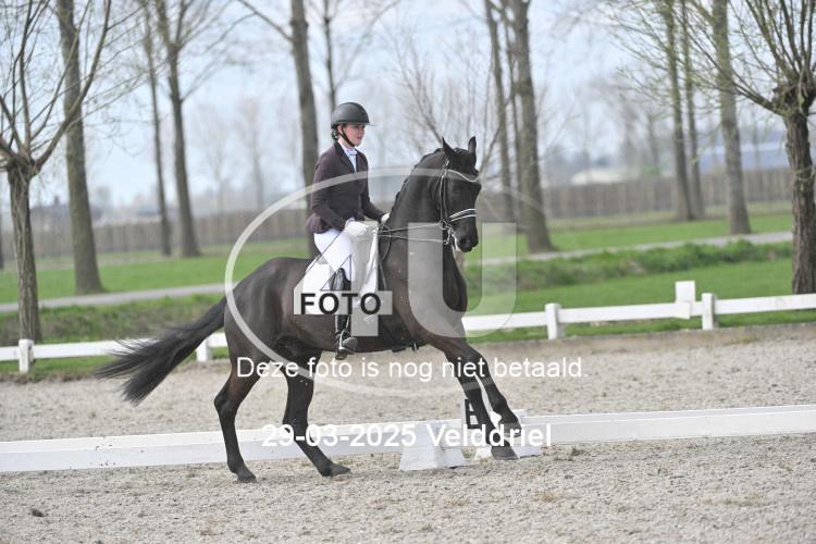 250329 1258