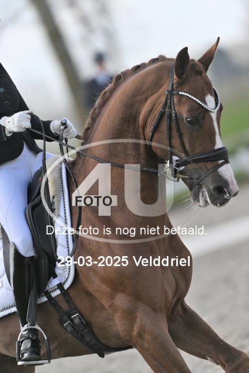 250329 1301