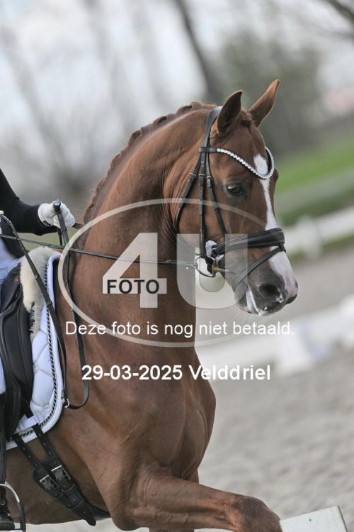 250329 1302