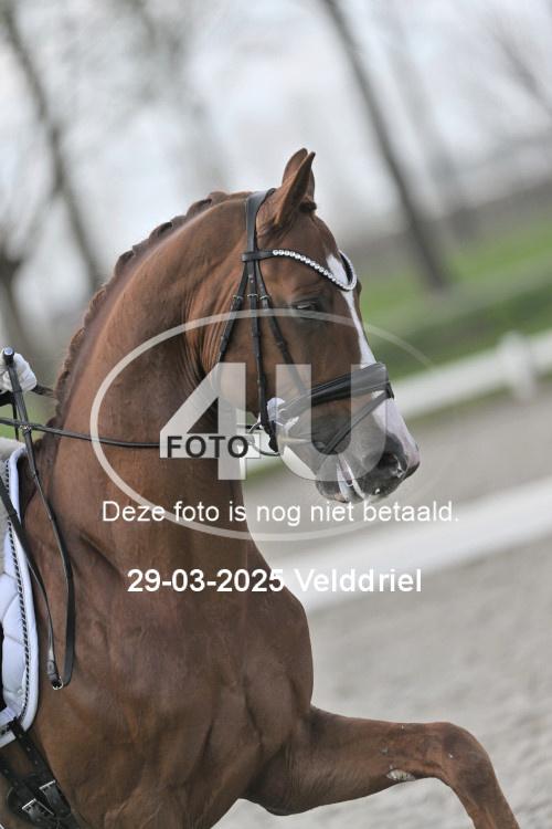 250329 1303
