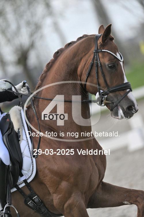 250329 1305