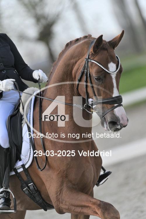 250329 1323