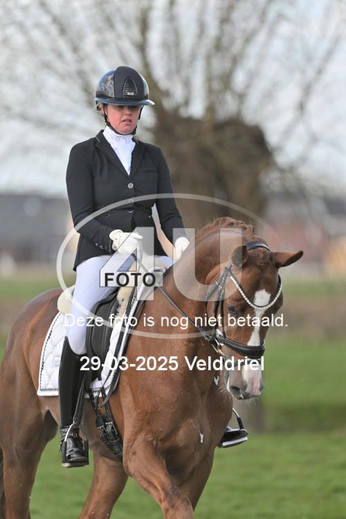 250329 1344