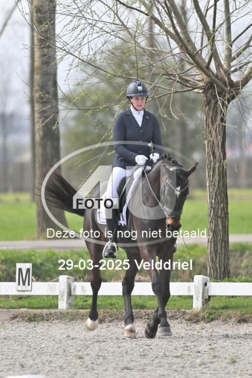 250329 1399