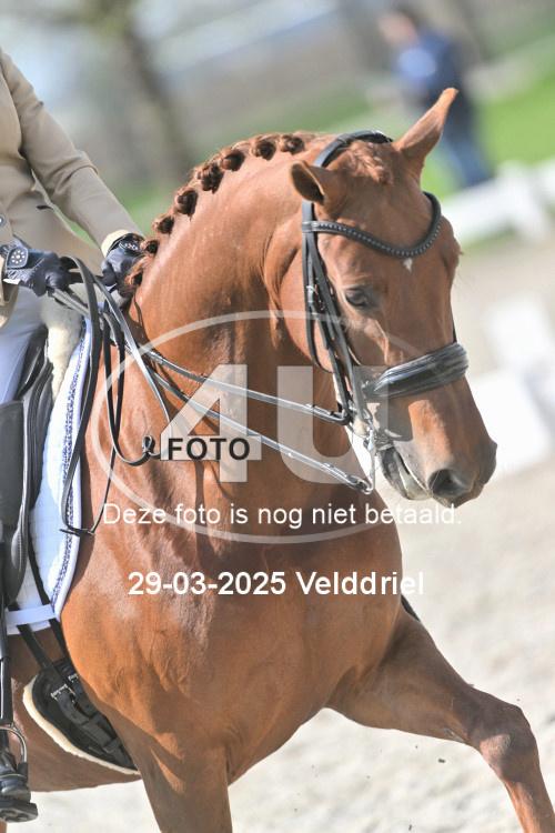 250329 1414