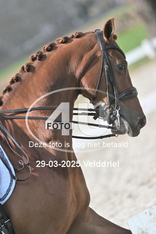 250329 1418