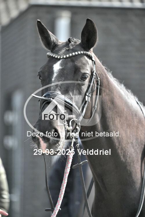 250329 1472