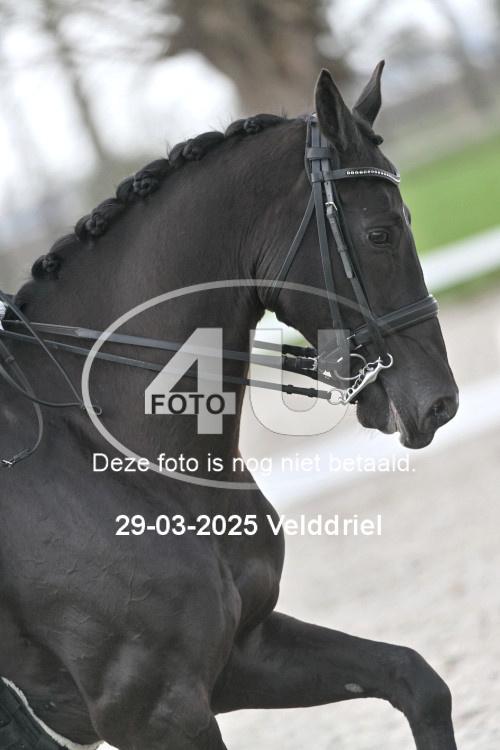 250329 1485