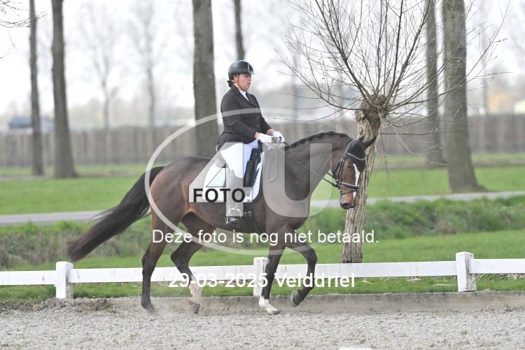 250329 1513