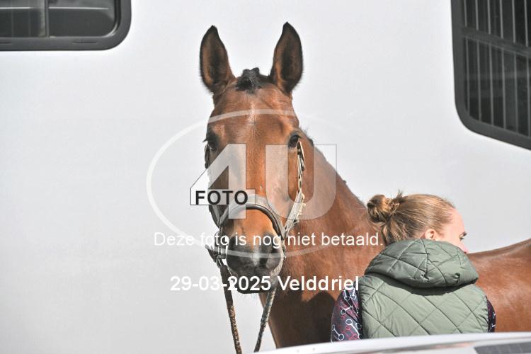 250329 1535
