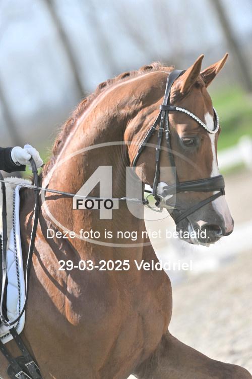 250329 1543
