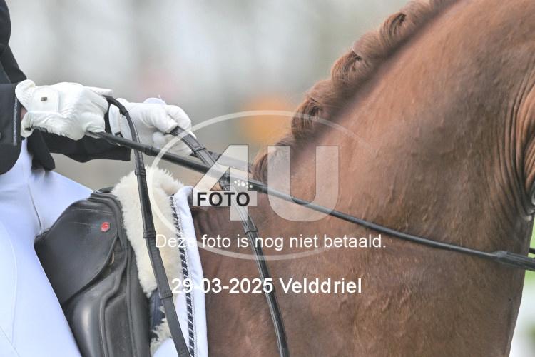 250329 1557