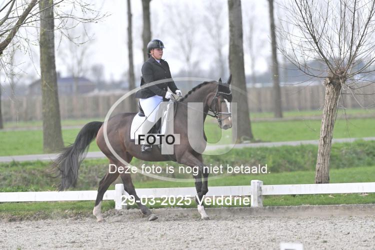 250329 1571