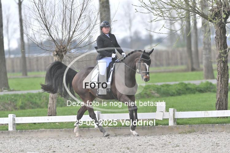 250329 1573