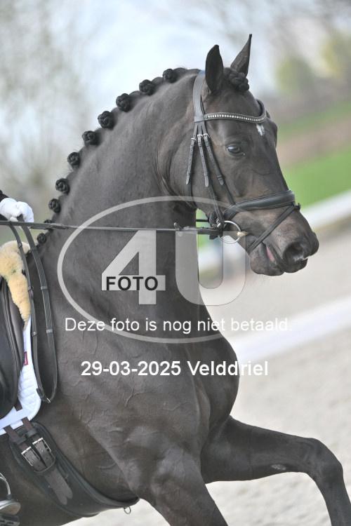 250329 1604