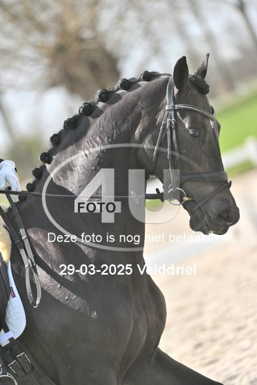 250329 1691