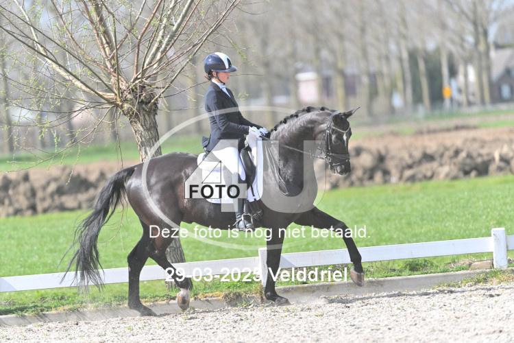 250329 1701