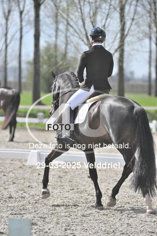 250329 1715