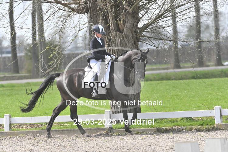 250329 1774