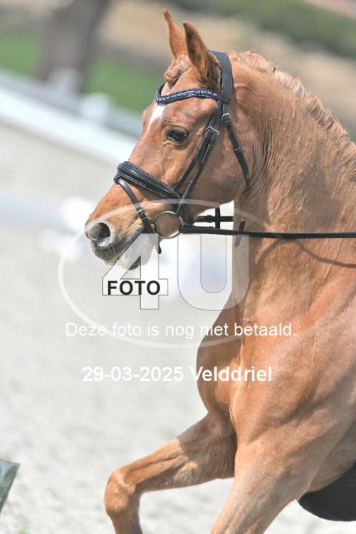 250329 1909