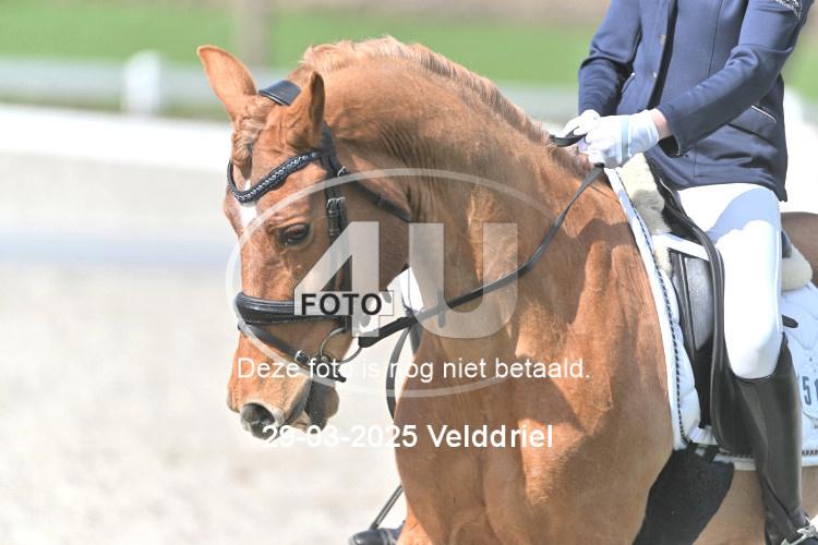 250329 1934