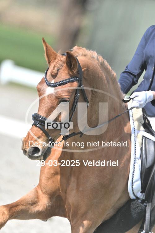 250329 1957