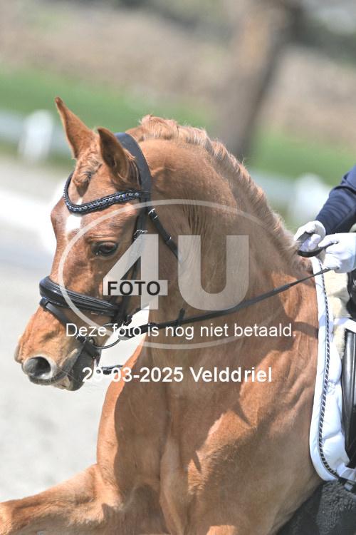 250329 1959