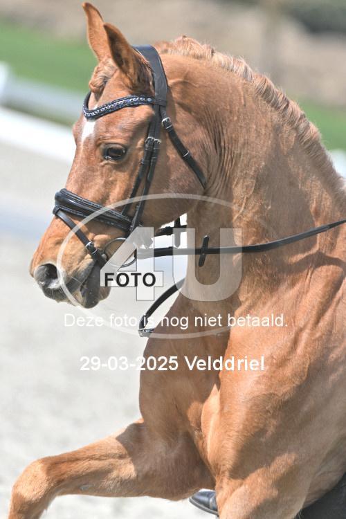 250329 1960