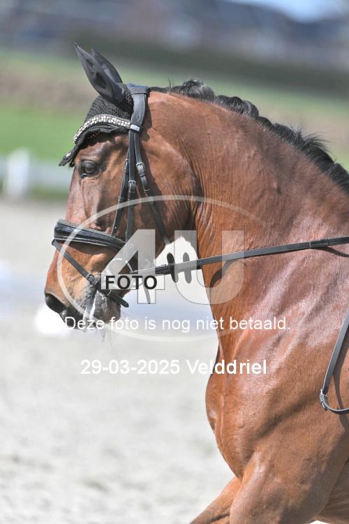 250329 2039