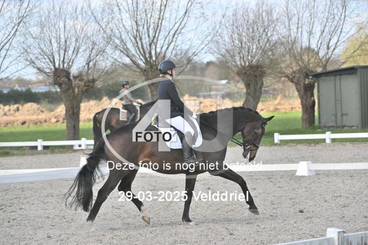 250329 2113