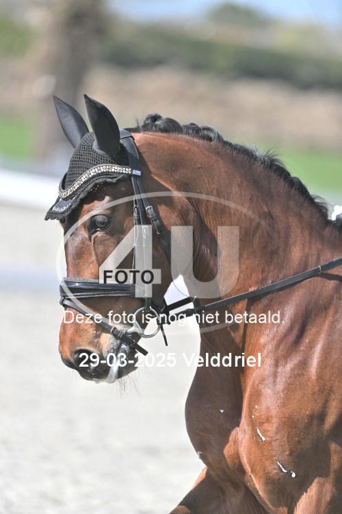 250329 2190