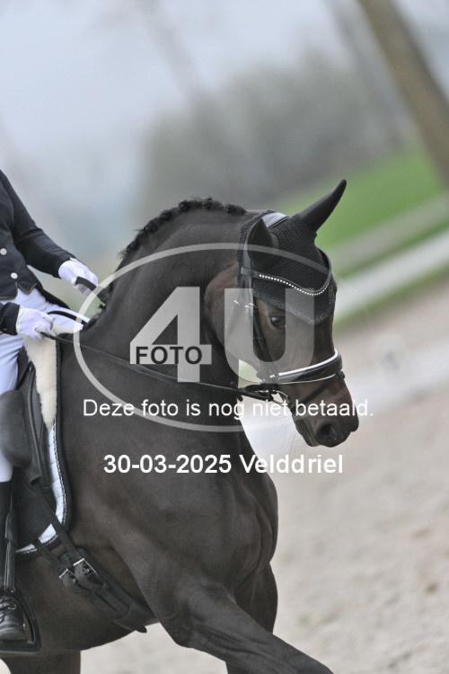 250330 0010