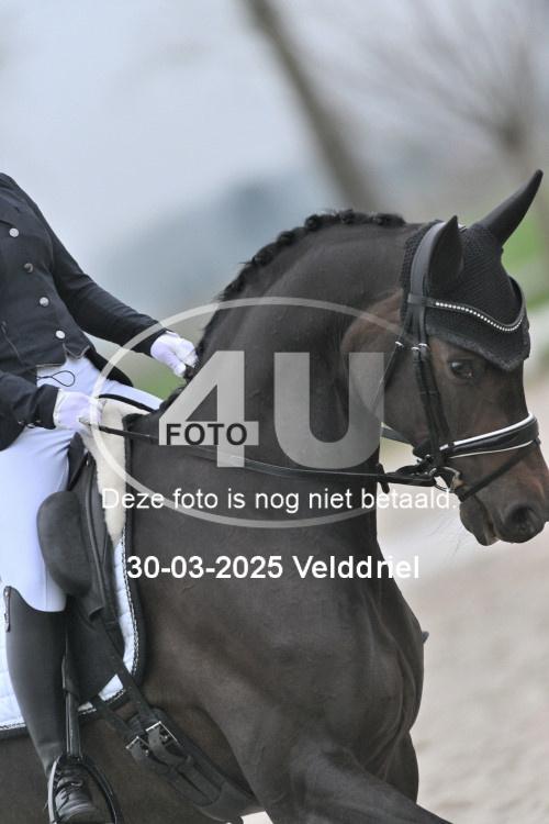 250330 0012