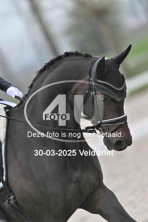 250330 0013