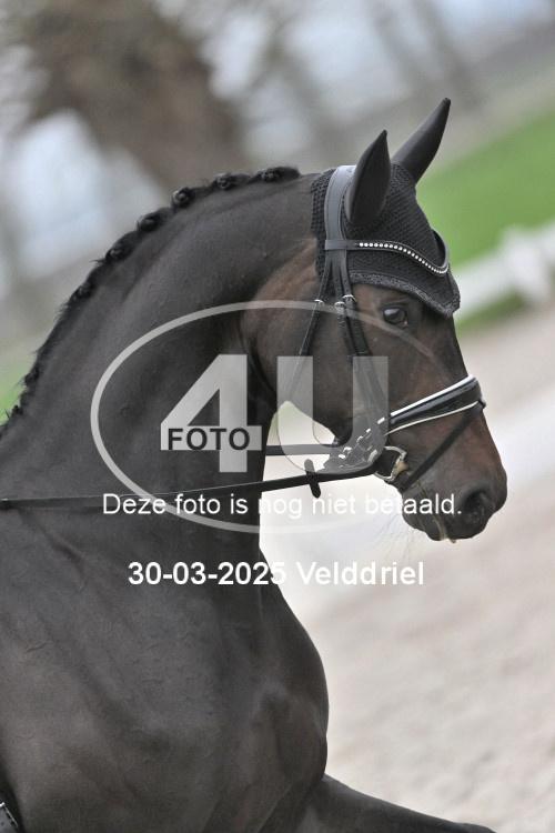 250330 0015