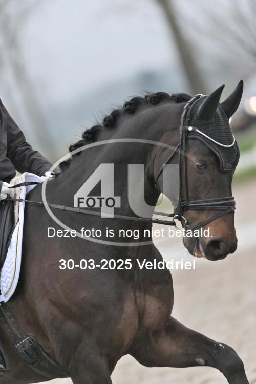 250330 0024