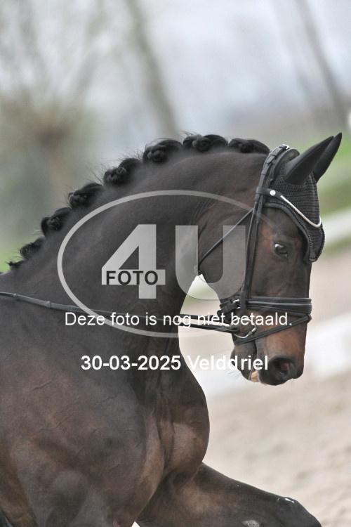 250330 0025
