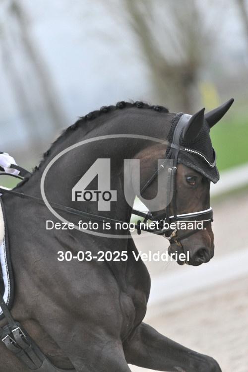 250330 0038