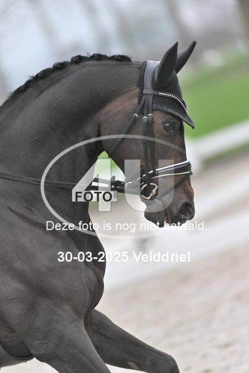 250330 0039