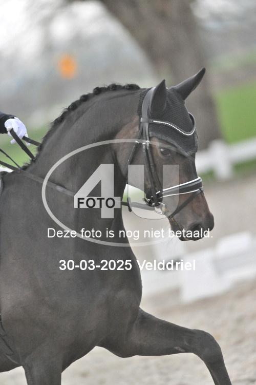 250330 0196