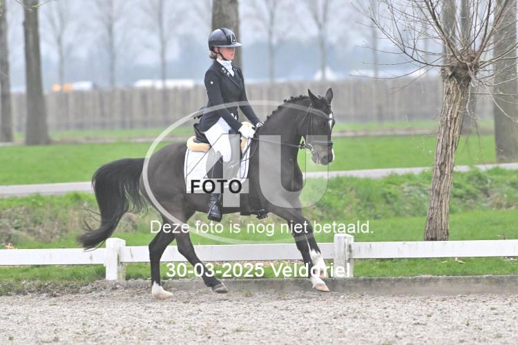 250330 0296