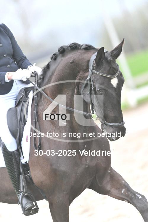250330 0359